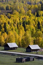 Xinjiang Province, Aletai,