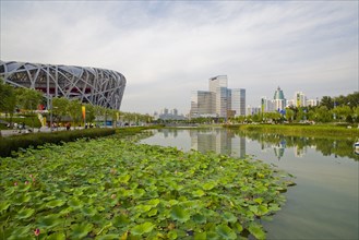 Beijing, the bird nest