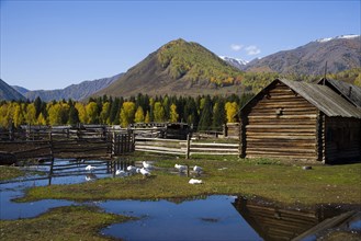 Xinjiang Province, Aletai,