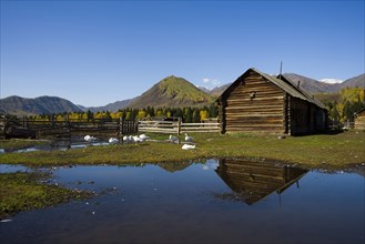 Xinjiang Province, Aletai,