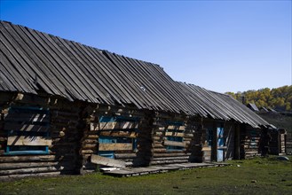 Xinjiang Province, Aletai,