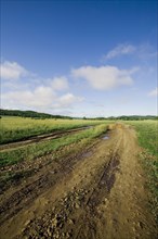 Bashang grassland in Inner Mongolia