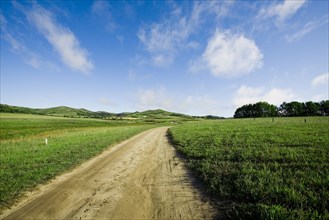 Bashang grassland in Inner Mongolia