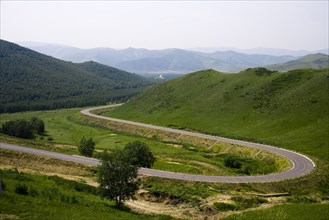 Bashang grassland in Inner Mongolia