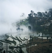 Yuanyang,Yunnan