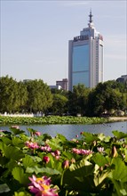 Lotus Pond Park,Beijing