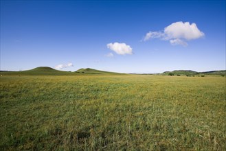 Bashang grassland in Inner Mongolia