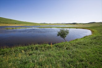 Bashang grassland in Inner Mongolia