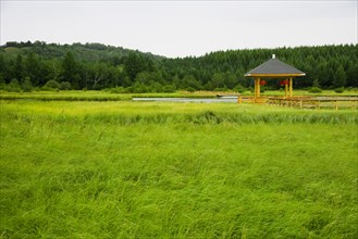 Bashang grassland in Hebei