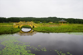 Bashang grassland in Hebei