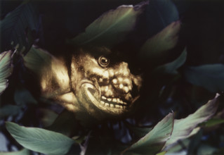 Double image, 1979-1999