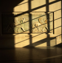 Griffons ailés passant à droite