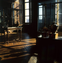 Vitrines de la Galerie Campana au Musée du Louvre