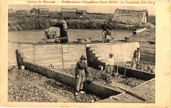 Oyster-farming business
Tremblade