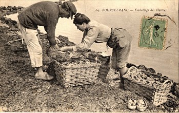 Oyster-farming work
Bourcefranc-le-Chapus