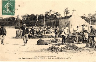 Oyster-farming work
Château d'Oléron