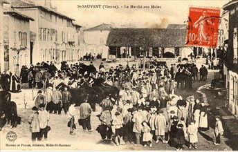 The jennies market
Saint-Sauvant