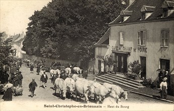 Flock of cows
SAINT-CHRISTOPHE-EN-BRIONNAIS