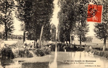 Courtois-sur-Yonne