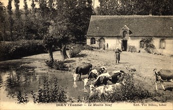 Diey,
Mill