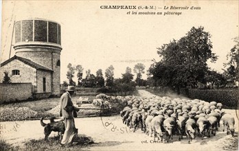 CHAMPEAUX