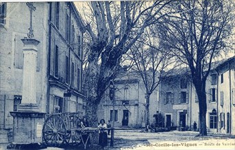 SAINTE-CECILE-LES-VIGNES