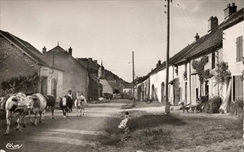 RAY-SUR-SAONE