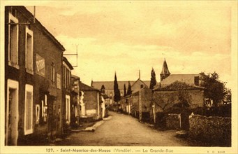 SAINT-MAURICE-DES-NOUES