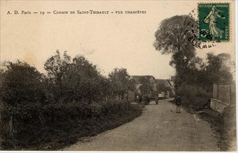 SAINT-THIBAULT-DES-VIGNES