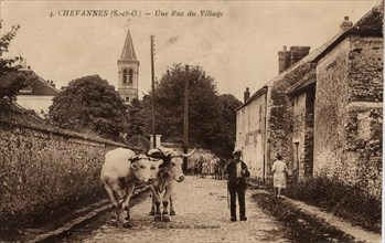 CHEVANNES