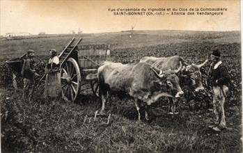 SAINT-BONNET-SUR-GIRONDE*