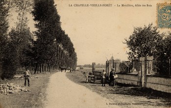 CHAPELLE-VIEILLE-FORET