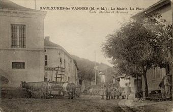 SAULXURES-LES-VANNES