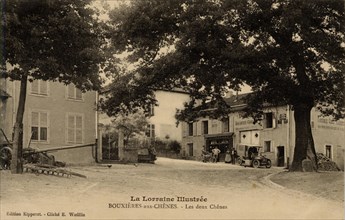 BOUXIERES-AUX-CHENES