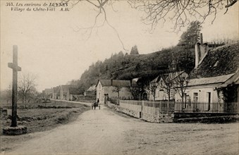 Chene-Vert