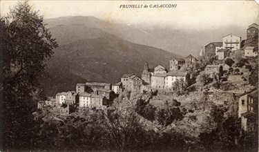 PRUNELLI-DI-CASACCONI