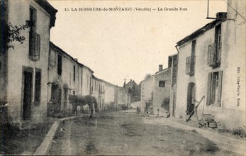 BOISSIERE-DE-MONTAIGU