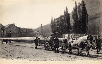 SALINS-LES-BAINS