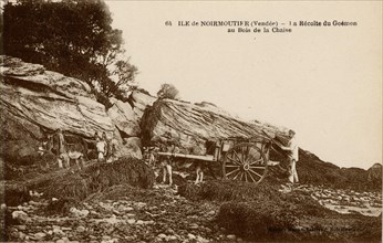 Bois-de-la-Chaize