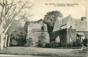 Bois-de-Cène, ruines de l'abbaye de l'Ile-de-Chauvet