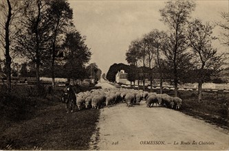 Ormesson-sur-Marne, la Route des Châtelets