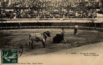 NIMES