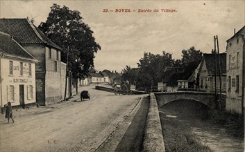 BOVES