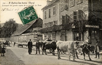 SALINS-LES-BAINS