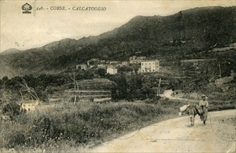 Calcatoggio