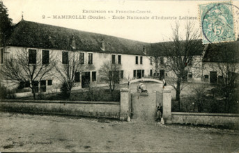 Mamirolle