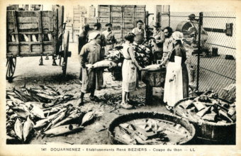 Douarnenez