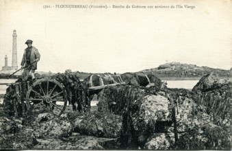Plouguerneau