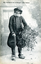 Marchand de gui de Bretagne