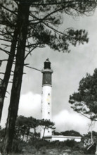 Cap-Ferret